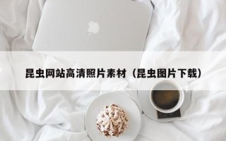 新乡昆虫网站高清照片素材（昆虫图片下载）